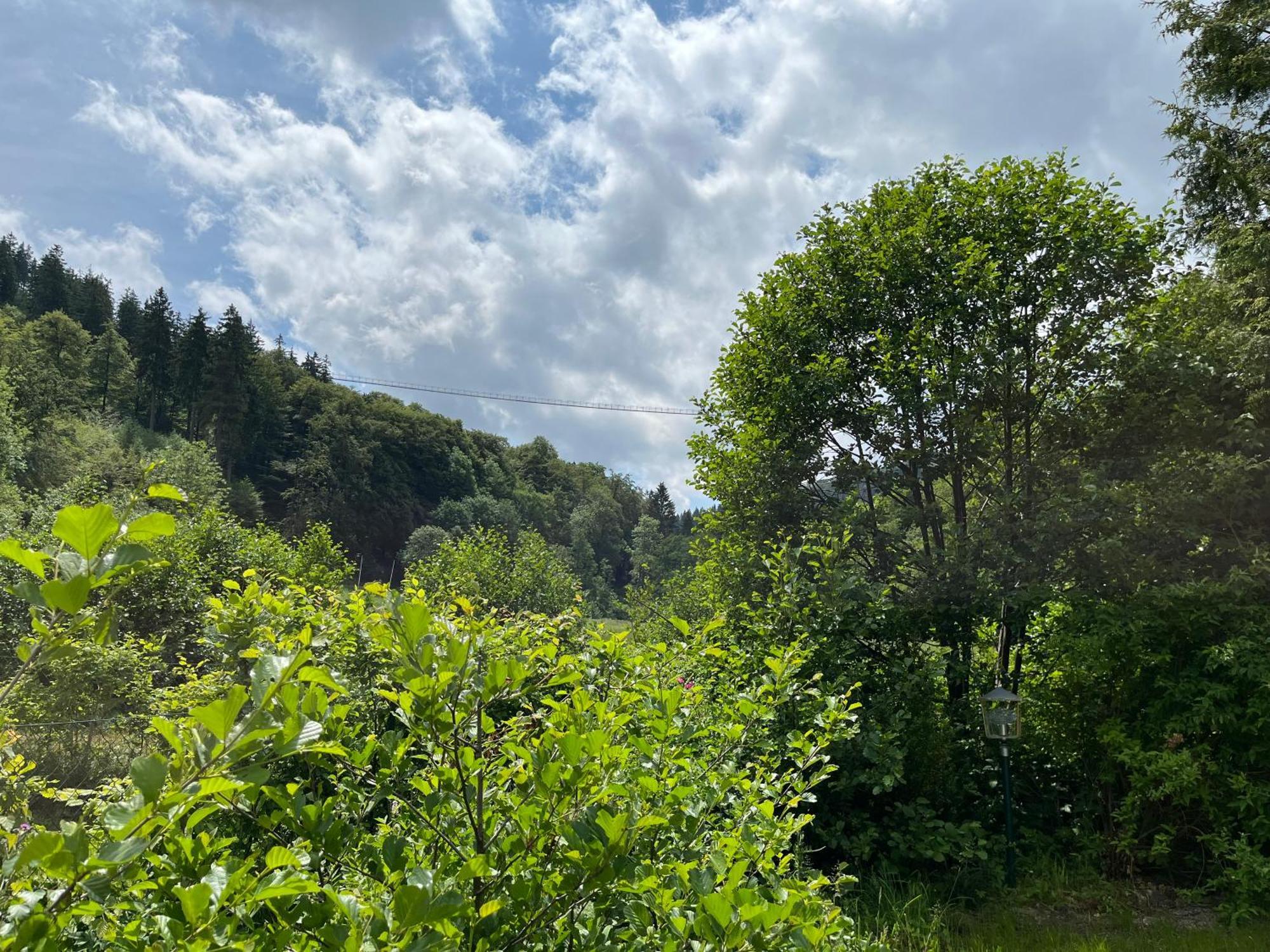 Hotel Zum Forsthaus Willingen  Exterior foto