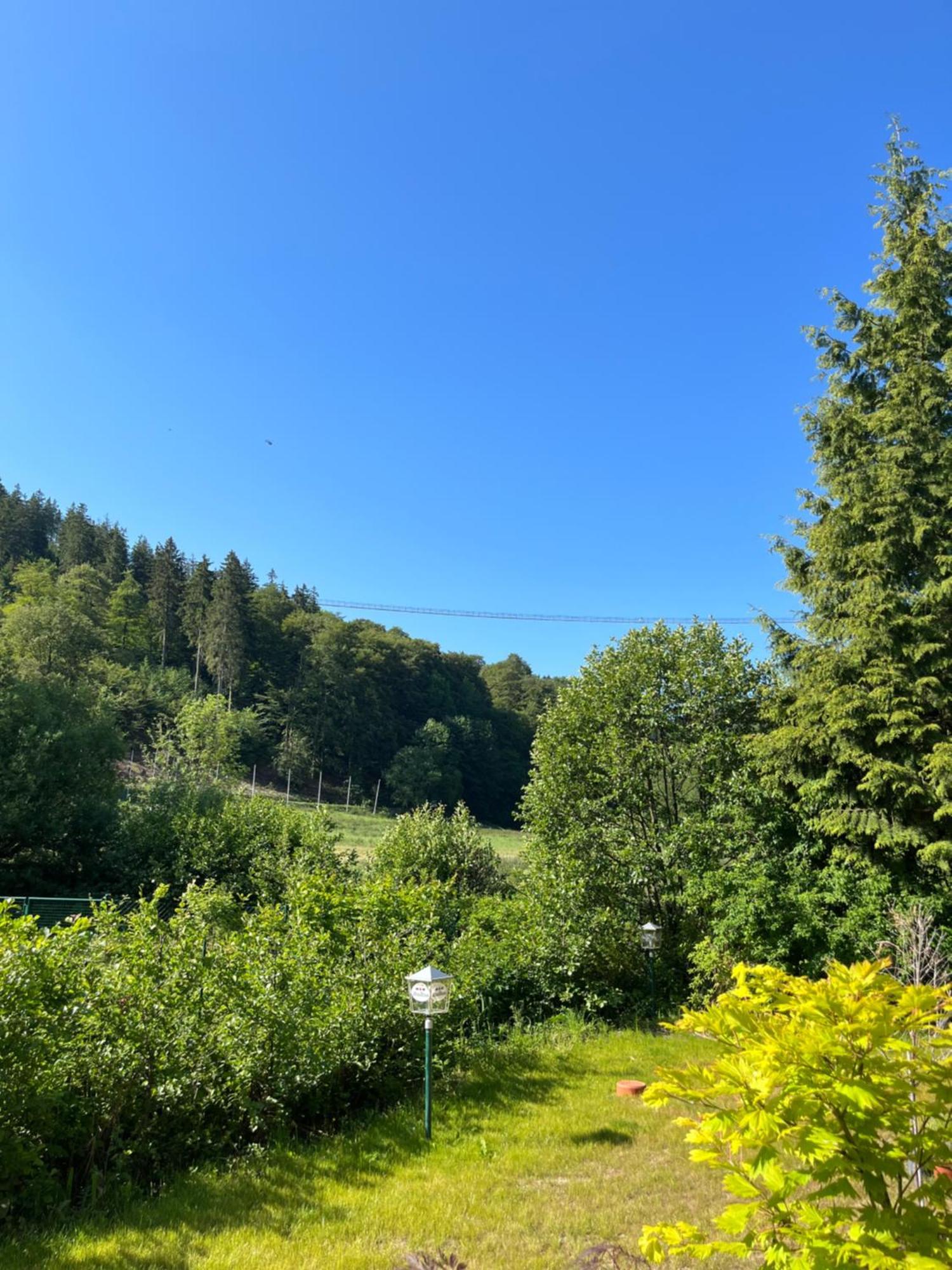 Hotel Zum Forsthaus Willingen  Exterior foto