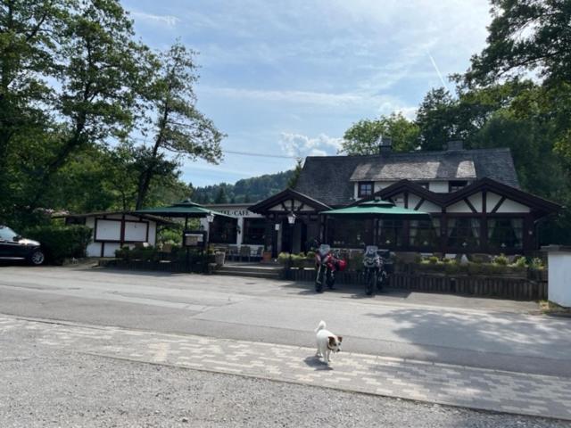 Hotel Zum Forsthaus Willingen  Exterior foto