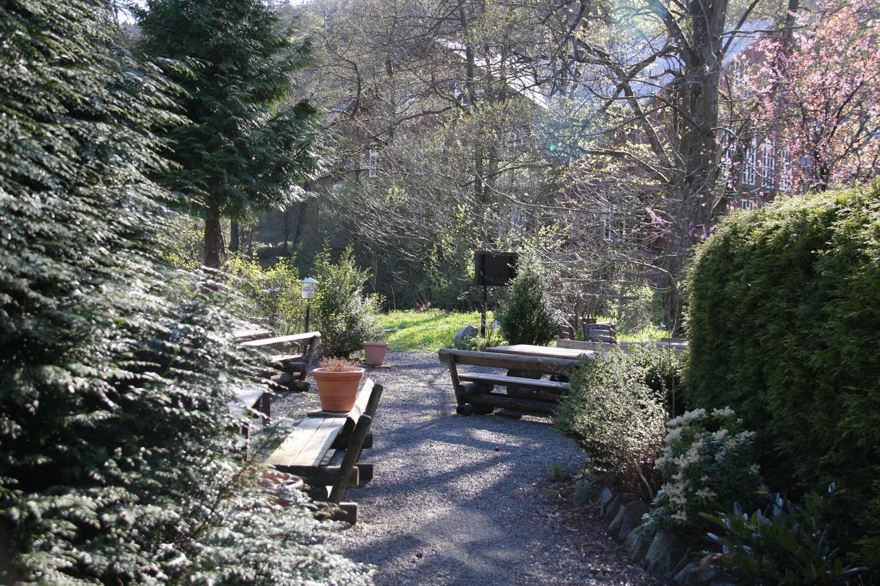 Hotel Zum Forsthaus Willingen  Exterior foto