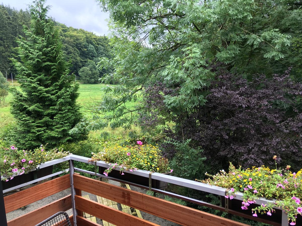 Hotel Zum Forsthaus Willingen  Exterior foto